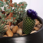 Serene Garden Succulent Planter