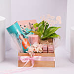 Luxury Womens Day Hamper