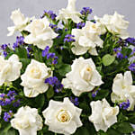 Beauty of White and Blue Flowers Vase