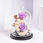 Preserved Purple Roses In Glass Dome