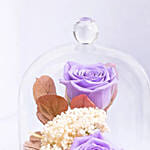 Preserved Purple Roses In Glass Dome