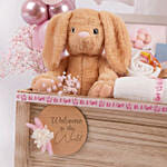 Welcome Baby Girl Celebration Hamper