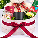 Teddys Well Wishes Hamper