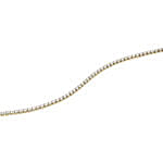 Daniel Wellington Classic Tennis Bracelet Gift set for Her