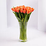 Orange Tulip Collection