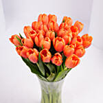 Orange Tulip Collection