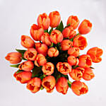 Orange Tulip Collection