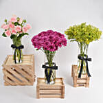 Beautiful Flowers Set of 3
