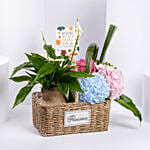 Grandparents Day Wishes Flowers And Plant Basket