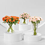 Trio of Roses Beauty