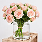 Trio of Roses Beauty