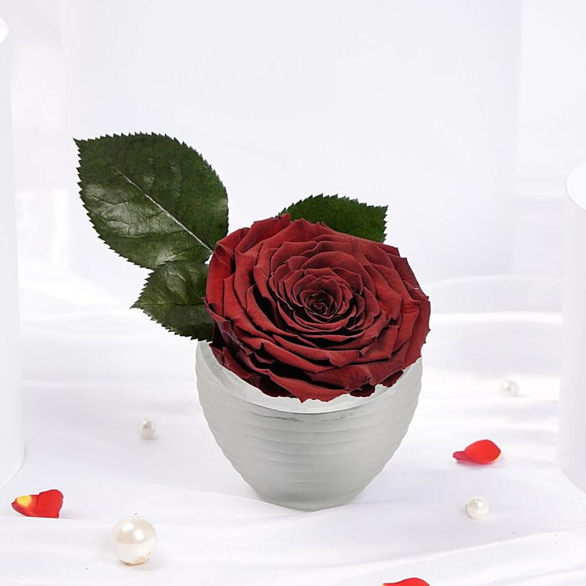 Forever Rose Love Vase: توصيل هدايا جدة