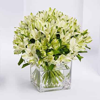 White Alstroemeria 30 In Vase: توصيل ورد في السعودية
