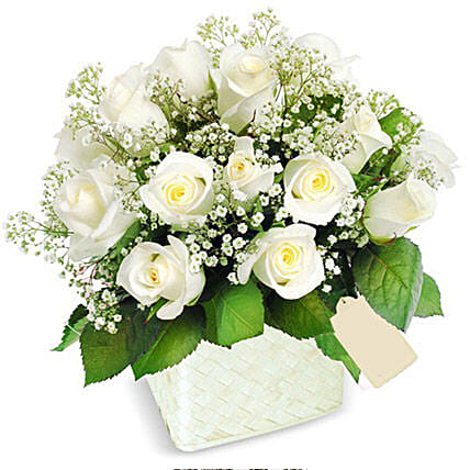 Pot Of White Roses: Gift Delivery Sri Lanka