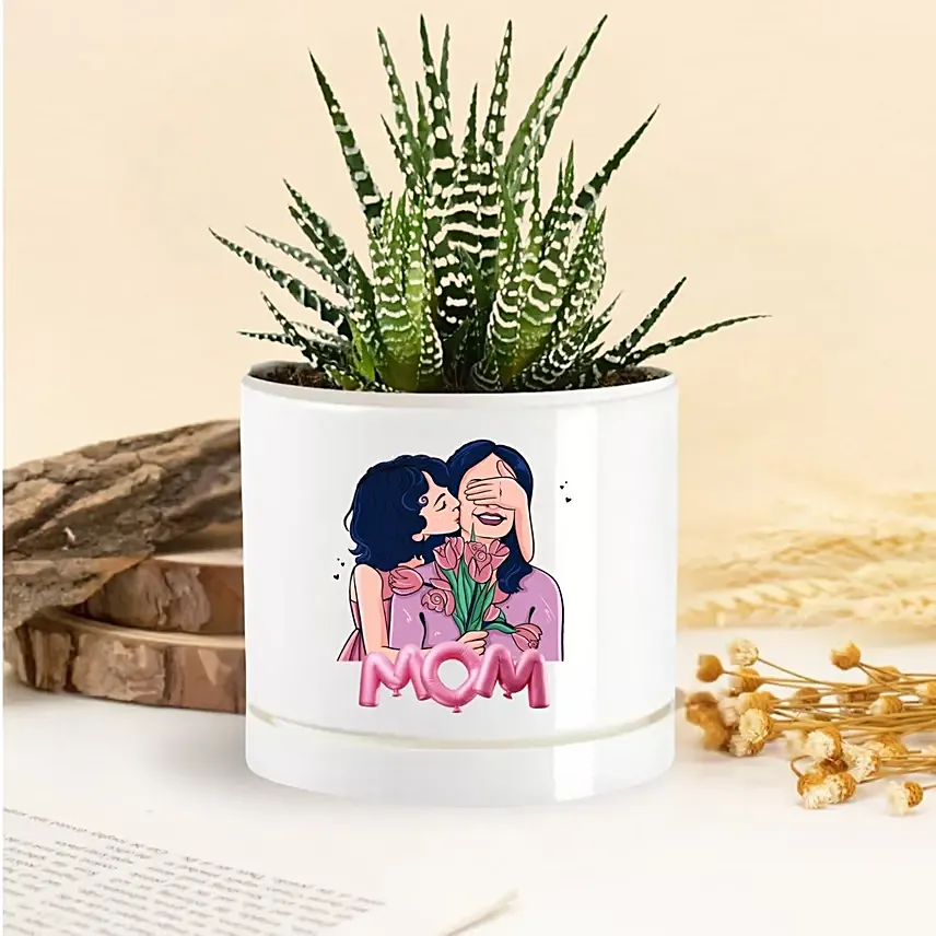 Mom Love Blooms Echeveria Plant