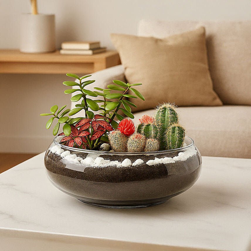 Jade With Fittonia & Cactus Plant In Small Fish Bowl